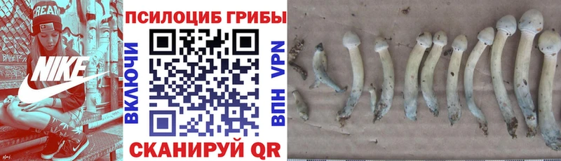 Псилоцибиновые грибы Magic Shrooms  Купить закладки  Лермонтов 